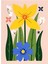 Matisse - Boho - Art Deco - Soyut - Doğa ( 3 Lü Çerçevesiz ) Poster - Afiş - Tablo KR2C00715/ 4