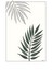 Matisse - Boho - Art Deco - Soyut - Doğa ( 3 Lü Çerçevesiz ) Poster - Afiş - Tablo KR2C00140/ 3