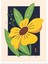 Matisse - Boho - Art Deco - Soyut - Doğa ( 3 Lü Çerçevesiz ) Poster - Afiş - Tablo KR2C00706/ 4