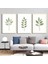 Matisse - Boho - Art Deco - Soyut - Doğa ( 3 Lü Çerçevesiz ) Poster - Afiş - Tablo KR2C00695/ 1