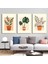 Matisse - Boho - Art Deco - Soyut - Doğa ( 3 Lü Çerçevesiz ) Poster - Afiş - Tablo KR2C00696/ 1