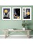Matisse - Boho - Art Deco - Soyut - Doğa ( 3 Lü Çerçevesiz ) Poster - Afiş - Tablo KR2C00761/ 1