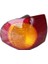 Stop Sol Toyota Corolla AE111 1999-2002 1