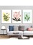 Matisse - Boho - Art Deco - Soyut - Doğa ( 3 Lü Çerçevesiz ) Poster - Afiş - Tablo KR2C00090/ 1