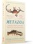 Metazoa / Animal Minds And The Birth Of Consciousness - Peter Godfrey-Smith 3