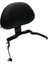 Sissy Bar Siyah Honda Forza 250 2023-2024 3