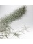 Tillandsia Usneoides (60+ Cm) Ispanyol Yosunu Spanish Moss Hava Bitkisi Airplant 3