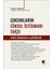 Çocukların Cinsel Istismarı Suçu (Temel Sorunlar ve Çözümleri) - Didem Yeldan 1