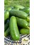 Bebek Avokado 1kg (Parmak Avokado) 2