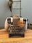 Gta Sa Grand Theft Auto Oyunu Kol Standı Ps5 Dualsense Ps4 Dualshock Joystick Standı 3