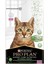 Proplan Acti-Protect Steril Turkey Hindili Kısır Kedi Maması 1,5 kg 1