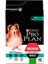 Proplan Adult Digestion Yetişkin Kuzu Etli Köpek Maması 14 kg 1