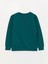 Lcw Kids Yeşil Bisiklet Yaka Baskılı Uzun Kollu Erkek Çocuk Sweatshirt 2