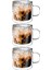 Çift Cidarlı Kahve,latte,çay Bardağı Seti -250 ml Cam Kupa Seti 3 Adet 2128 1
