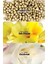 Perceive Body Lotion 125 ml 3