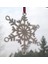 Yeni Noel Süsü - Kar Tanesi T563396 Kampanya 3