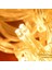 2 x 2 Metre 320 LED 8 Fonskiyonlu Dekoratif LED Günışığı Perde (4767) - MCT5655-8797 2