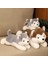 Husky Bebek Köpek Peluş Oyuncak Bebek 40CM (Yurt Dışından) 2