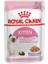 Kitten Jelly Pouch Yavru Konserve Kedi Maması 85 gr 1