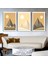 Matisse - Boho - Art Deco - Soyut - Doğa ( 3 Lü Çerçevesiz ) Poster - Afiş - Tablo KR2C01101/ 1
