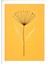 Matisse - Boho - Art Deco - Soyut - Doğa ( 3 Lü Çerçevesiz ) Poster - Afiş - Tablo KR2C01190/ 2