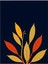 Matisse - Boho - Art Deco - Soyut - Doğa ( 3 Lü Çerçevesiz ) Poster - Afiş - Tablo KR2C01239/ 4