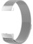 Fıt Charge 3 Için Paslanmaz Çelik Mıknatıs Kayış, 217X18MM (Yurt Dışından) 3