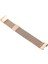 Fit Charge 3 Için Metal Bilek Kayışı Watch Band (Yurt Dışından) 4