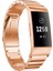 Fitbit Charge 4 Için Bir Boncuk (Yurt Dışından) 1