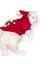 Teddy Noel Kapşonlu Kedi Sweatshirt Xxl 2