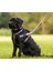 Çift Karabinalı Köpek Gezdirme Kayışı. (15 Kilo Ile 40 Kilo Arası) 7