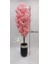 Siyah Gümüş Saksıda Pembe Bahar Dalı - Premium 2