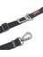 Travel Leash Araç Emniyet Tokası Kedi Köpek Gezdirme Sevk Kayışı 2