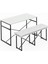 Masa Takımı Bench Bank Minderli Masa Seti 120 x 60 Mutfak ve Yemek Masası Beyaz 1563 5