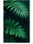 Matisse - Boho - Art Deco - Soyut - Doğa ( 3 Lü Çerçevesiz ) Poster - Afiş - Tablo KR2C01146/ 4