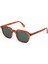 Dail Classic Havana Unisex Güneş Gözlüğü 3