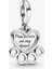 Kalp ve Pati Izi Sallantılı Charm 799360C00 1