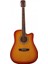 WA90CTS Akustik Gitar 2
