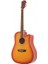WA90CTS Akustik Gitar 4
