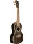 ZR-C Ziricote Concert Ukulele 2