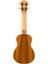 SPST-S Spruce Soprano Ukulele 3
