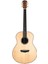 Bella Tono Elegante S24S Akustik Gitar 2