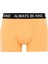Regular Fit 3'lü Boxer B7912AX24SM 6