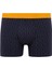 Regular Fit 3'lü Boxer B7938AX24SM 5