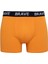 Regular Fit 3'lü Boxer B7968AX24SP 4