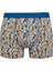 Regular Fit 3'lü Boxer B7968AX24SP 5