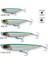 Pop Walker 2.0 5.5 cm 4.5 gr F Snow Sardine 3