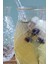 1 Adet Ananas Cam Kokteyl Sunum Bardağı Cam Pipetli Kahve Soğuk Içecek Bardak 3