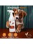Bitkisel Kedi & Köpek Alanları Çok Amaçlı Yüzey Temizleyici & Leke Çıkarıcı 1 Litre 3