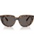 Rb 2286 1292B1 52RAY-BAN Doreen Kadın Güneş Gözlüğü 5